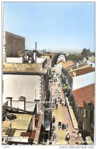 Carte Postale Algérie Tébessa rue Salomon couleur ciculé sous enveloppe 1962 Très bon état