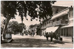 TEBESSA  ( Algerie ) -  Le Cour   Carnot   ( C.P.S.M. , Pt  -   Ft  )