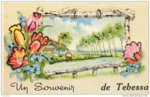 algerie, tebessa, souvenir