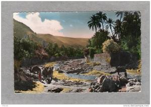 31114    Algeria,    Le  Sud  Algerien,  Un  oued  dans  le  Sud,  NV  (scritta)