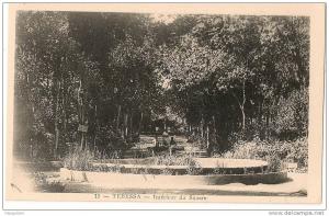 cpa bon etat    algérie , tebessa , intérieur du square , carte impeccable