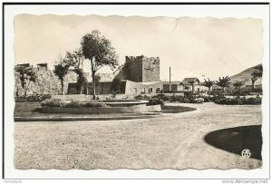 CP  N°29 TEBESSA - Jardin de la Mairie