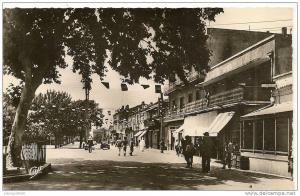 10 - TEBESSA - LE COURS CARNOT ( Animées ) ALGERIE