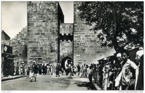 TEBESSA  SEMI MODERNE