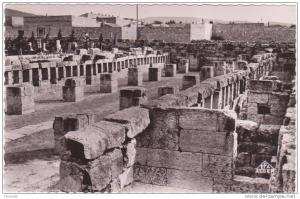 CSM  -  TEBESSA  -  7. Basilique Romaine. Les Ecuries