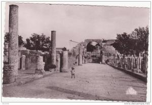 CSM  -  TEBESSA  -  8. Grande allée de la Basilique