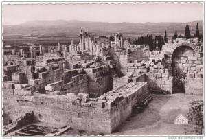 CSM  -  TEBESSA  -  13. Vue générale de la Basilique