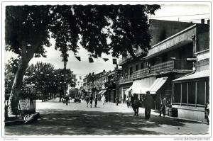 TEBESSA  - le cour  carnot  n° 10