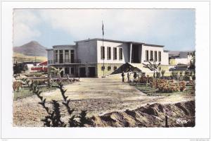 Tébessa N°62 L'Hôtel de Ville  Collec Pignella