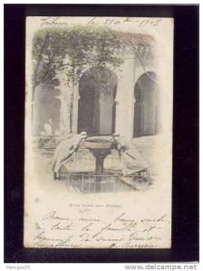 tébessa ? arabes faisant leurs ablutions édit.ND n° 35 couleur précurseur