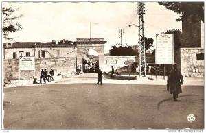 CPSM 9X14 .  ALGERIE . TEBESSA . LA PORTE DE CONSTANTINE . Panneaux indicateurs vers Le Kouif  Morsott  El Ma El Abiod