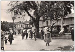 ALGERIE - TEBESSA - Place Carnot