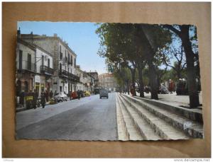 CPSM TEBESSA Cours Carnot, voitures citroen