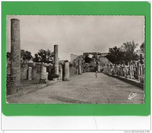 TEBESSA GRANDE ALLEE DE LA BASILIQUE