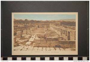 ALGERIE TEBESSA LA BASILIQUE LES ECURIES