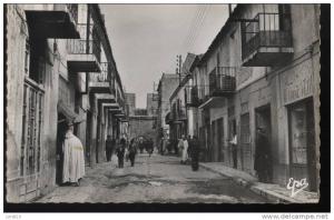 ALGERIE....TEBESSA...RUE SALOMON.....CPSM....ECRIT E..  ‹(•¿  •)›