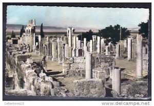 ALGERIE - Tebessa - Ruines de la Basilique Romaine