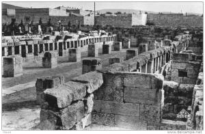 6931       Algeria Tebessa   Basilique  Romaine  Les  Ecuries   NV