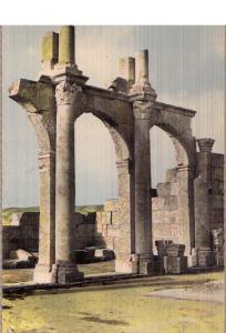 TEBESSA-Vue des ruines romaines de la basilique