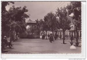 TEBESSA  ,  Cours Carnot    , Kiosque