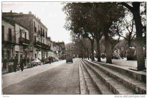 AFRIQUE. ALGERIE. TEBESSA. Vue sur Le Cours Carnot. Carte Dentelée.