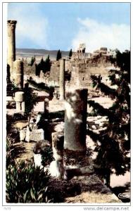 cpF1000 - ATEBESSA - Ruines de la Basilique Romaine - (Algérie)