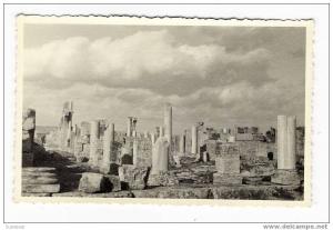 ALGERIE / CARTE-PHOTO  cliché n° 29 /  Tebessa , Ruines de la basilique  -  23 Avril 1936  ( légende manuscrite au dos )