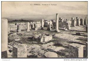 Tebessa  ruines de la Basilique - (c1388)