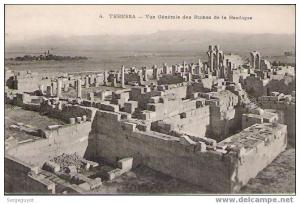 Tebessa  Vue générale des ruines de la basilique - (c1018)