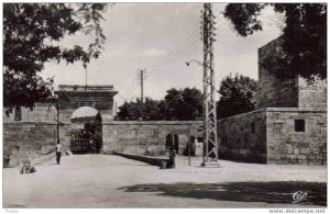 Algérie.Tebessa.Entrée de la ville ( CPSM CAP 1516 ).