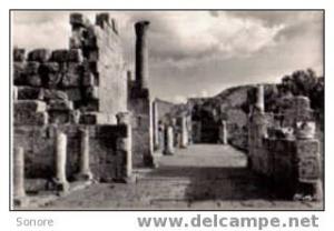 TEBESSA-Ruines romaines de la basilique chretienne/N103