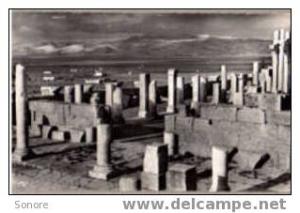 TEBESSA-Vue des ruines romaines de la basilique chretienne/N108
