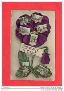 UNE PENSEE DE TIARET