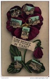 TIARET -Une pensée de Tiaret