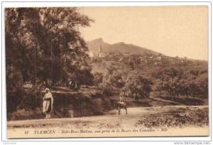Tlemcen - Sidi-Bou-Médine vue prise de la Route des Cascades