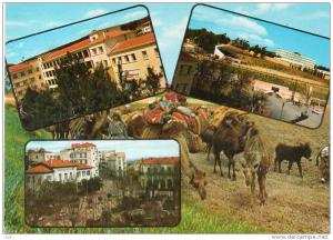 Algérie - Souvenir de TIARET  - Multi vues  (philatélie timbre stamp ALGERIE )  * PRIX FIXE