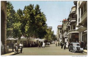 CPSM TIARET (Algérie) - La Rue Albert Soler