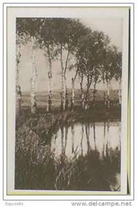 C. Postale  ALGERIE - TIARET - RIVIERE DE LA MINA