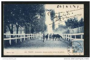 CPA Tiaret, Jumenterie, Juments suitees rentrant du paddock