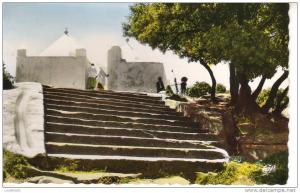 TIARET  Le Marabout de Sidi Khaled