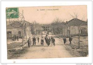 tiaret avenue escoffier