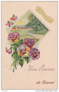 ¤¤  -  Une Pensée de TIARET   -  Carte Fantaisie  -  Fleurs    -  ¤¤