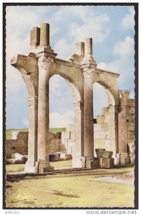 CPSM TEBESSA / BONE / VUE DES RUINES ROMAINES DE LA BASILIQUE LA CHAPELLE ALGERIE ANTIQUITE