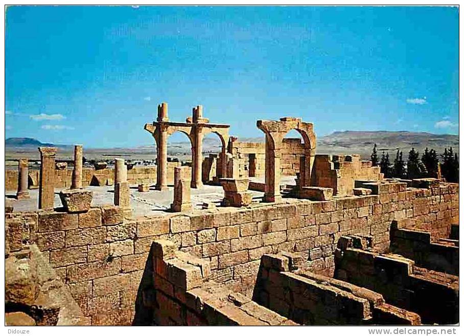 Algérie - Tébessa - Les Ruines Romaines - Voir Scans Recto-Verso