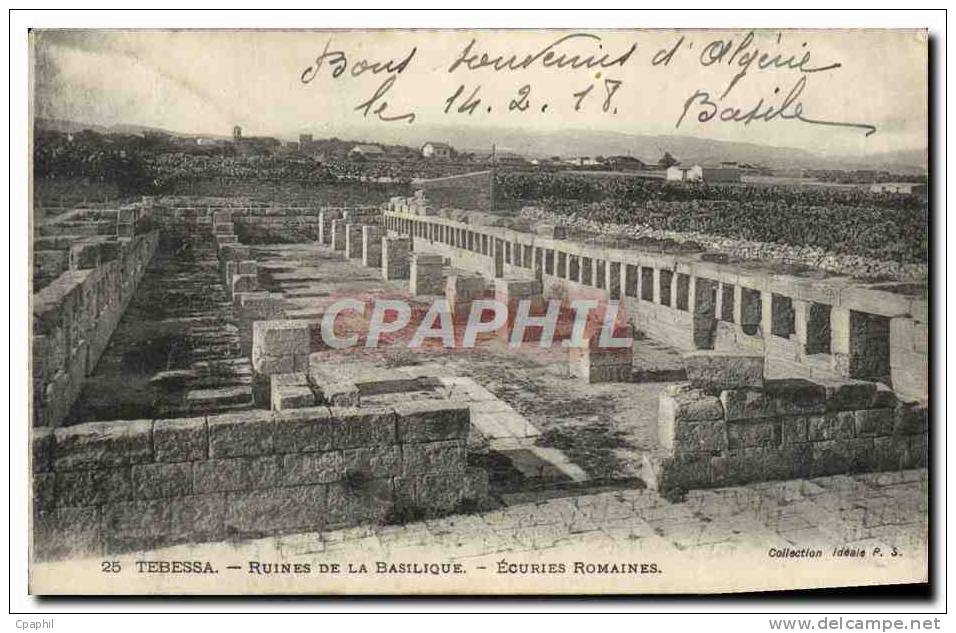 CPA Tebessa Ruines de la Basilique Ecuries romaines