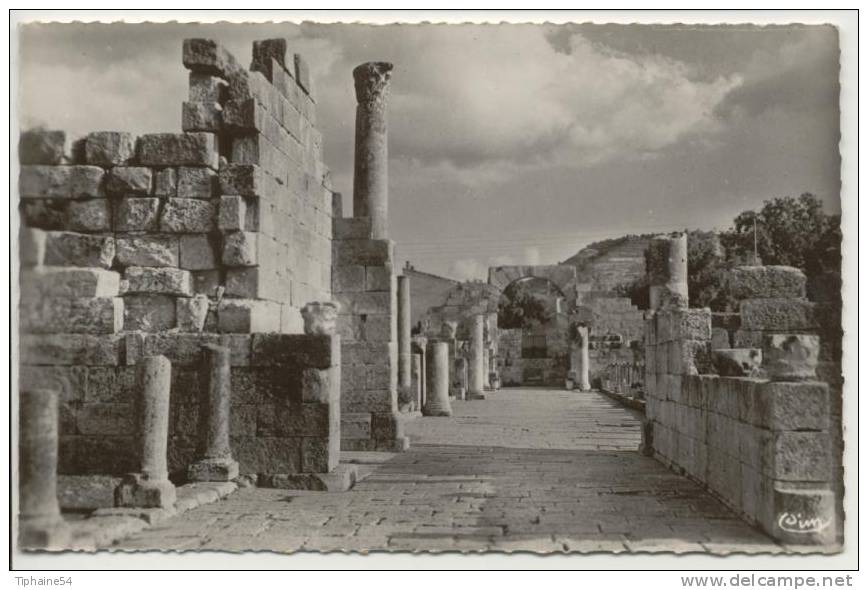 Tébessa Constantine la Basilique, la Chapelle, ruines romaines 1955 photo véritable