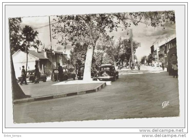 cpsm Tebessa Place de la Casbah