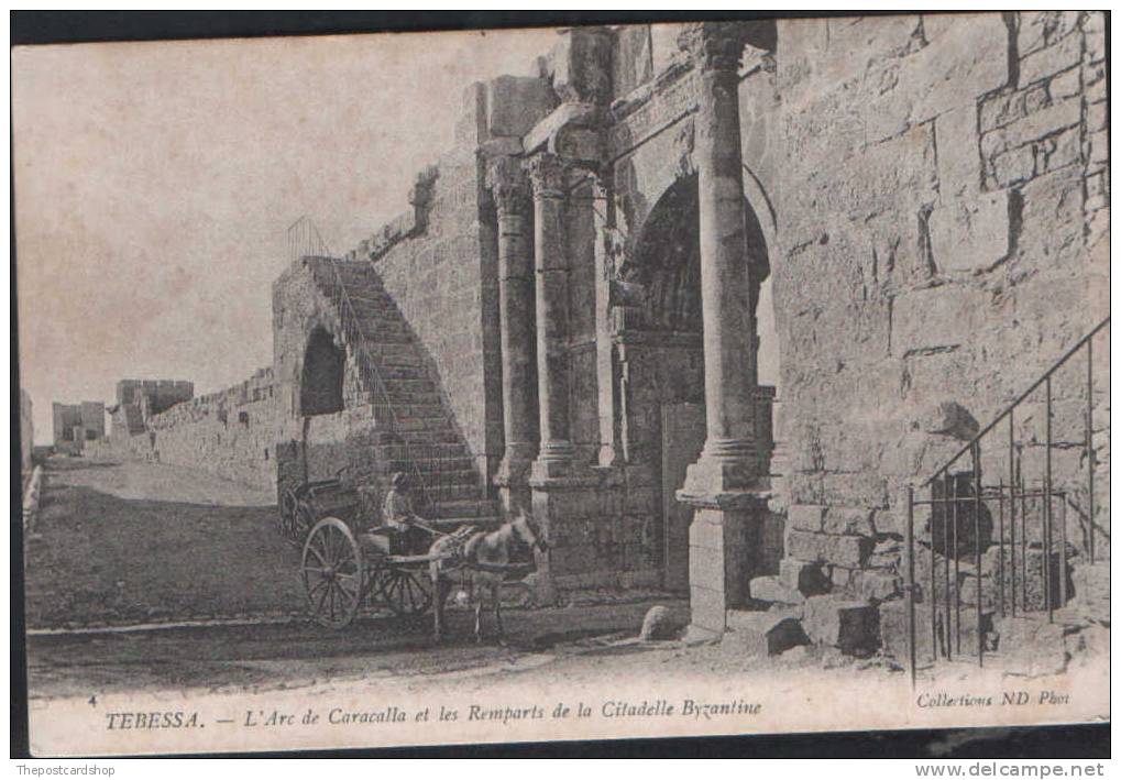 AFRIQUE - ALGERIE - TEBESSA - L´Arc de Caracalla et les Remparts de la Citadelle Bysantine