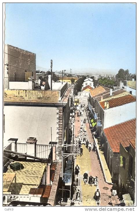 Carte Postale Algérie Tébessa rue Salomon couleur ciculé sous enveloppe 1962 Très bon état