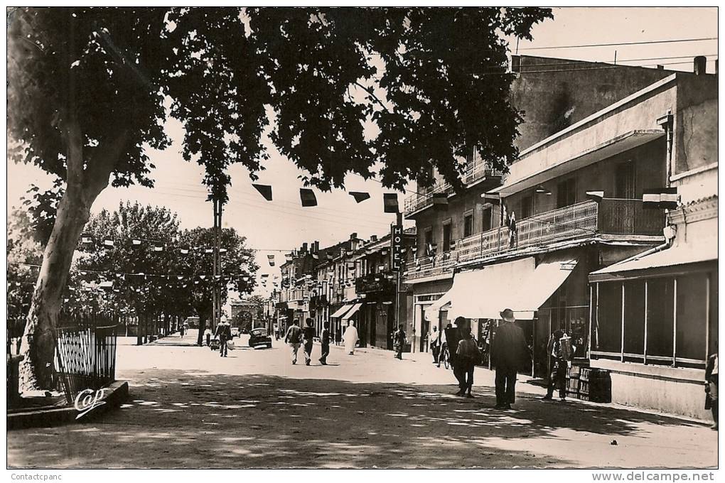 TEBESSA  ( Algerie ) -  Le Cour   Carnot   ( C.P.S.M. , Pt  -   Ft  )